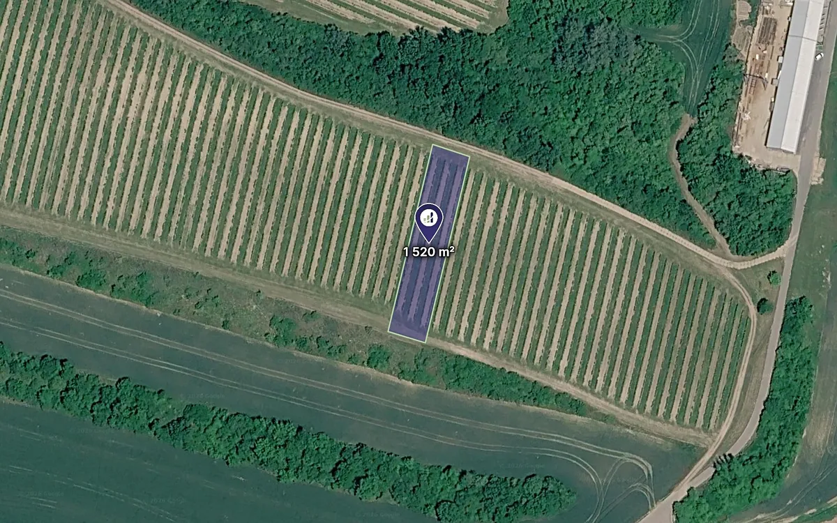 Prodej sadu, vinice 1520 m²